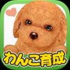 てのひらわんこ