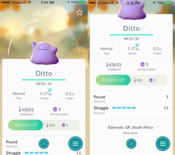 africa-ditto-1