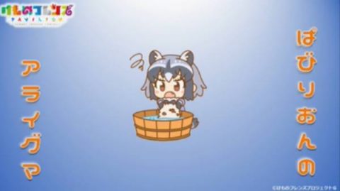 アライさんの様子。