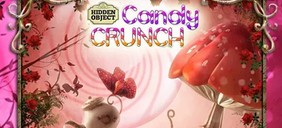 Hidden Object - Candy Crunchイメージ