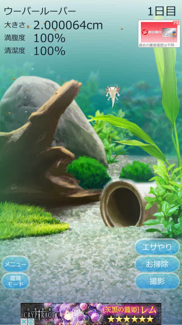 癒しのウーパールーパー育成ゲーム androidアプリスクリーンショット3