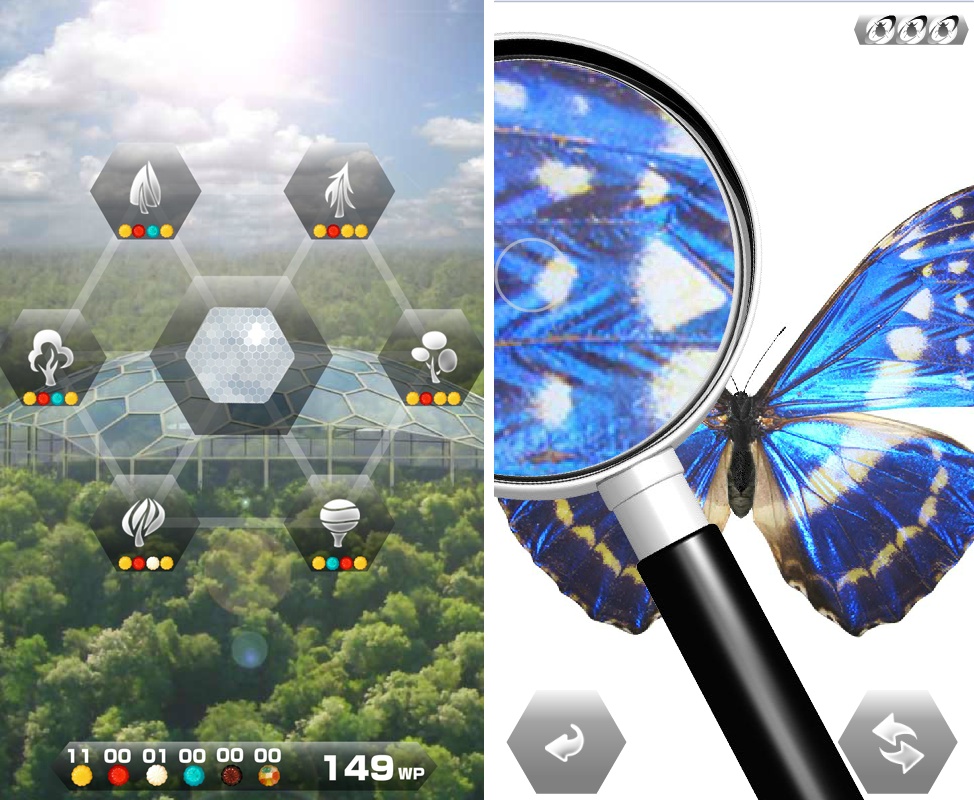 世界の昆虫採集ライト androidアプリスクリーンショット3