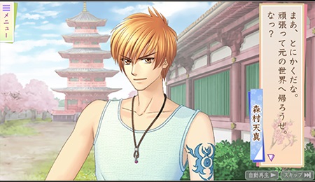 遙かなる時空の中で Ultimate