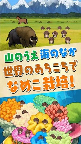 なめこ栽培キット ザ・ワールド