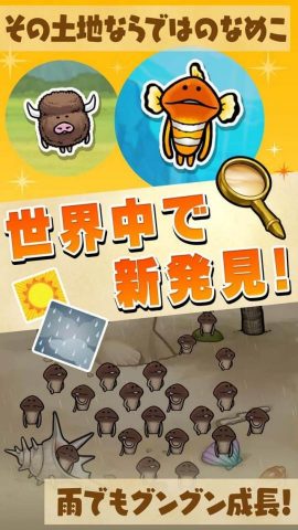 なめこ栽培キット ザ・ワールド