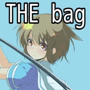 THE bag
