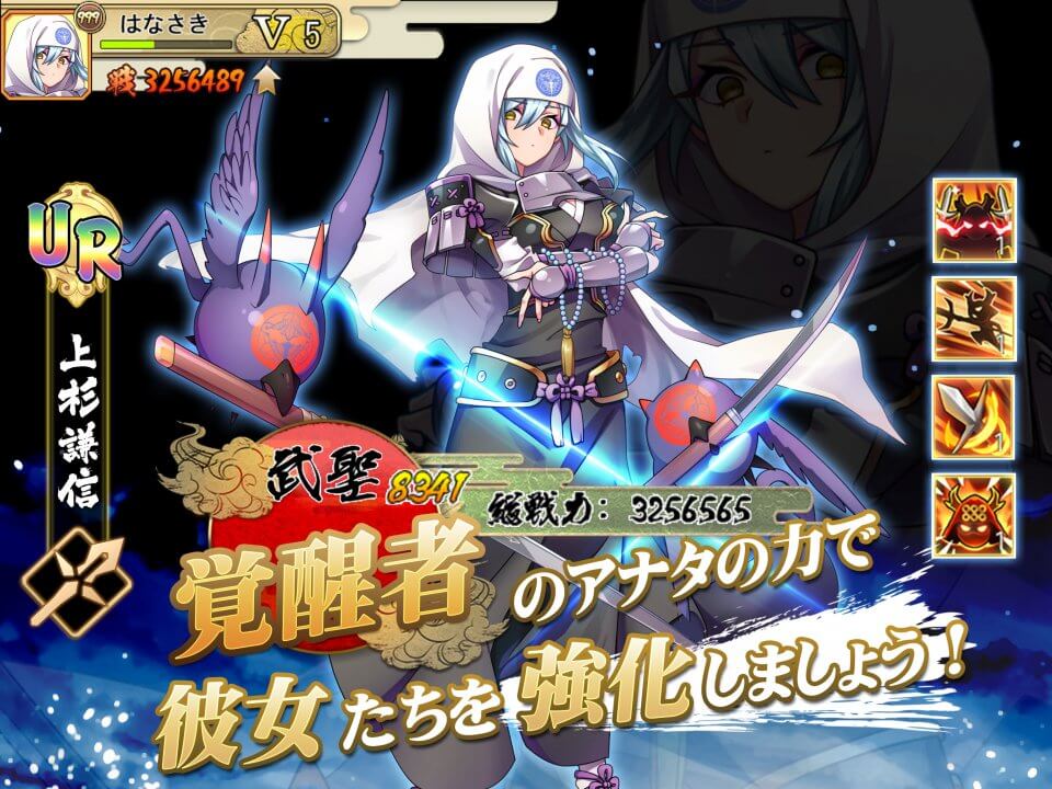 戦国少女～戦場に舞う姫たち～