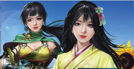 成り上がり～華と武の戦国