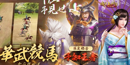 成り上がり～華と武の戦国