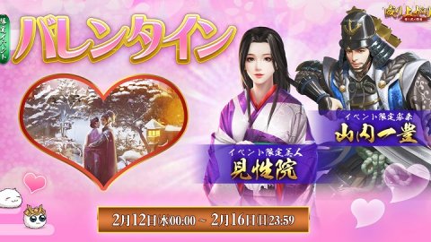 成り上がり~華と武の戦国