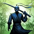 Ninja warrior: 忍者戦士