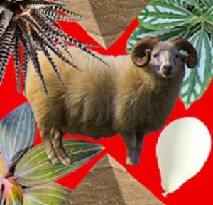 脱出ゲーム DreamlessRoom