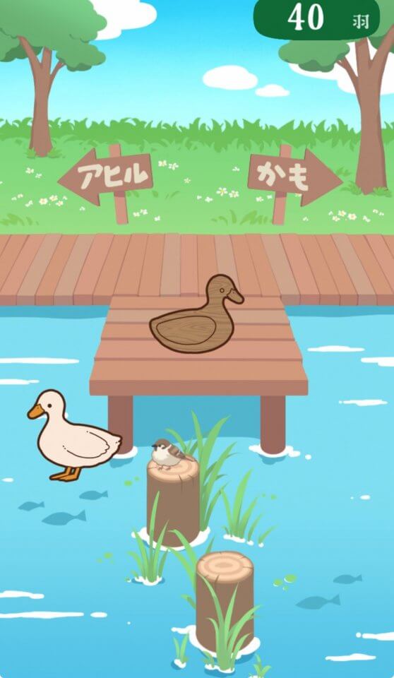 アヒルかも？ Duck or Duck!