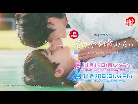 韓国ドラマ『君の唇を噛みたい』の日本語字幕版を全話無料で視聴できる動画配信サービスまとめ