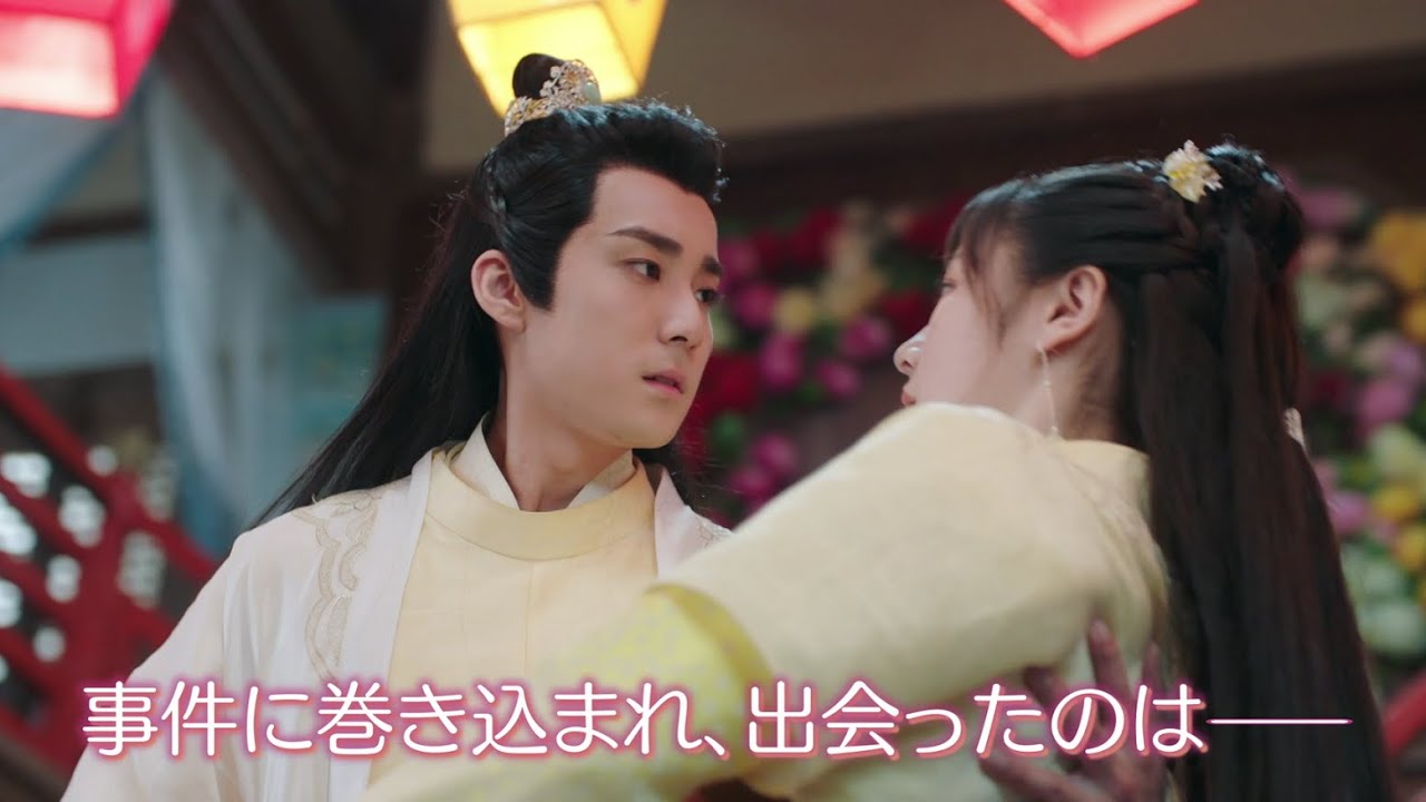 中国ドラマ『ロマンスは椿の花のように』の日本語字幕版の動画を全話無料で見れる配信アプリまとめ