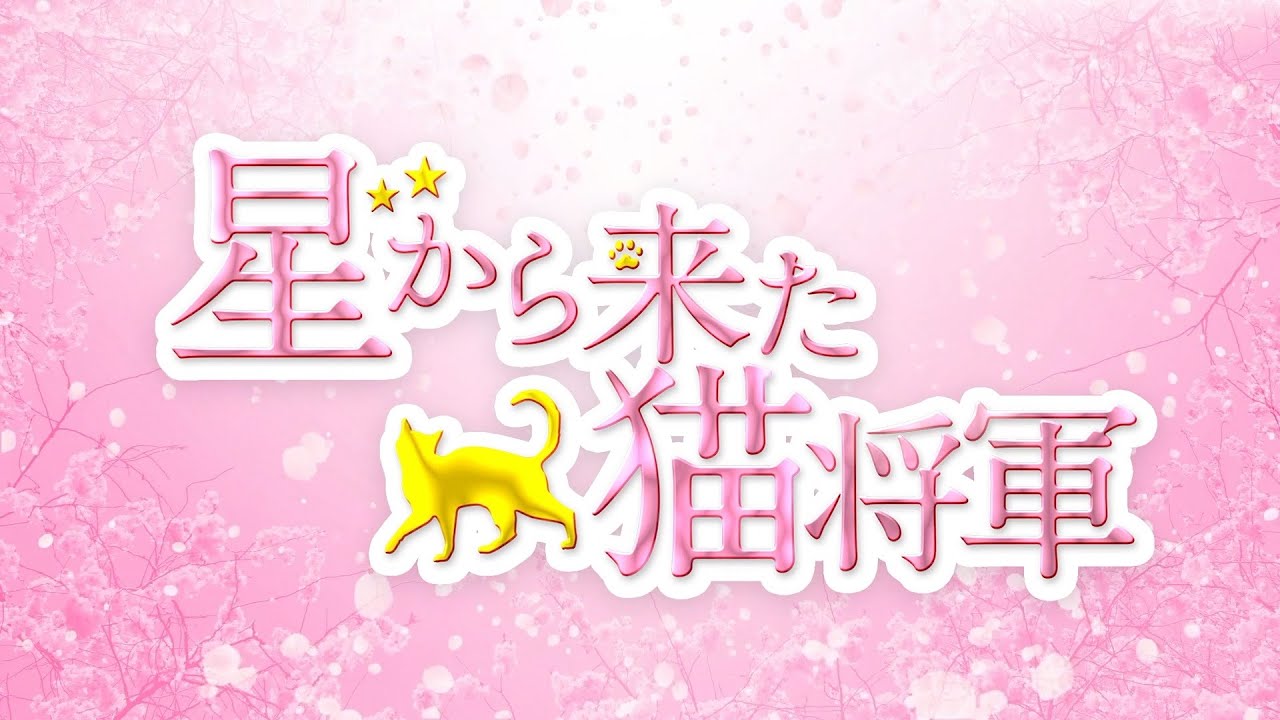 中国ドラマ『星から来た猫将軍』の日本語字幕版の動画を全話見れる配信アプリまとめ